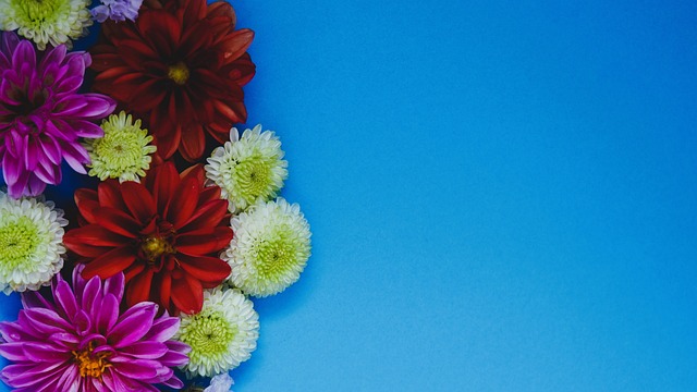 好地安排觀 好地安排觀