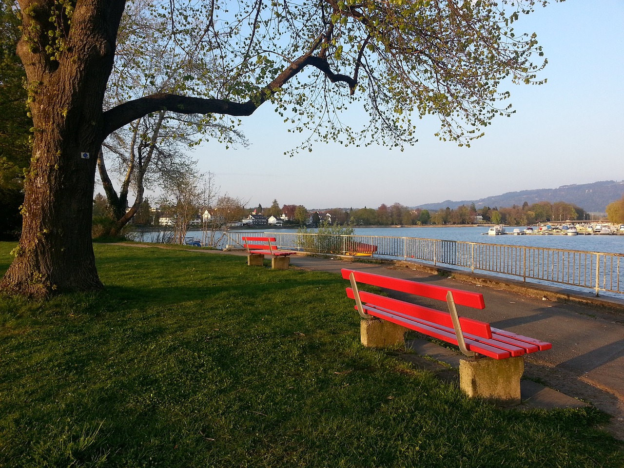 球技发挥提 球技发挥提